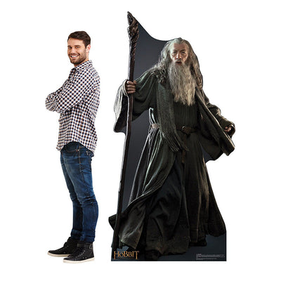 The Lord of the Rings Gandalf Cardboard Cutout Standee