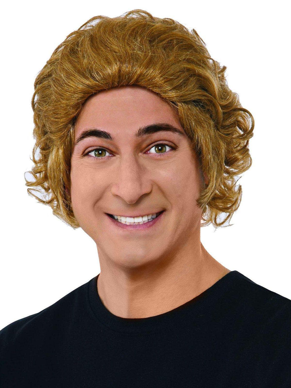Willy Wonka and the Chocolate Factory: Willy Wonka Adult Wig