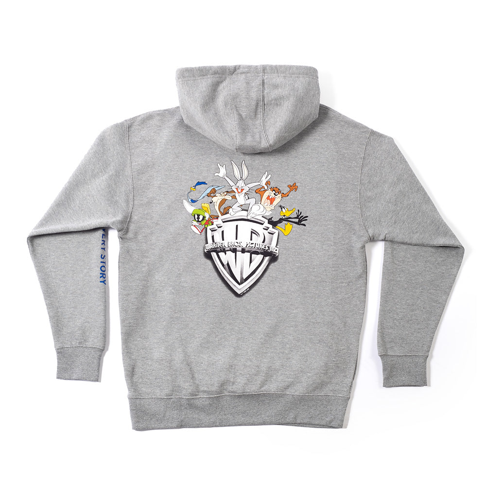Exclusive WB 100 Celebrating Every Story Hoodie