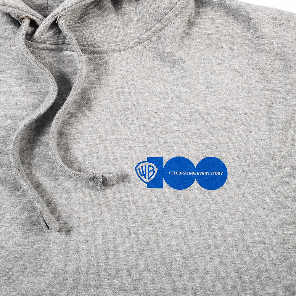 Exclusive WB 100 Celebrating Every Story Hoodie