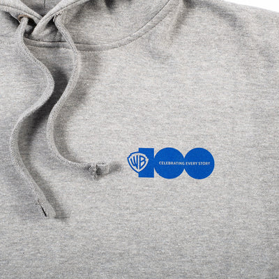 Exclusive WB 100 Celebrating Every Story Hoodie