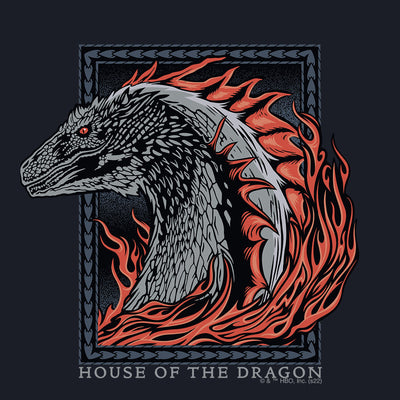 House of the Dragon Fire Dragon Women's Short Sleeve T-Shirt