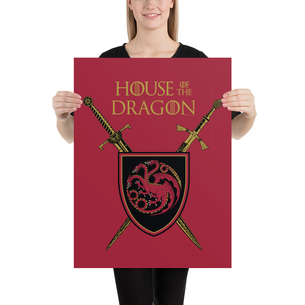 House of the Dragon Swords Premium Satin Poster
