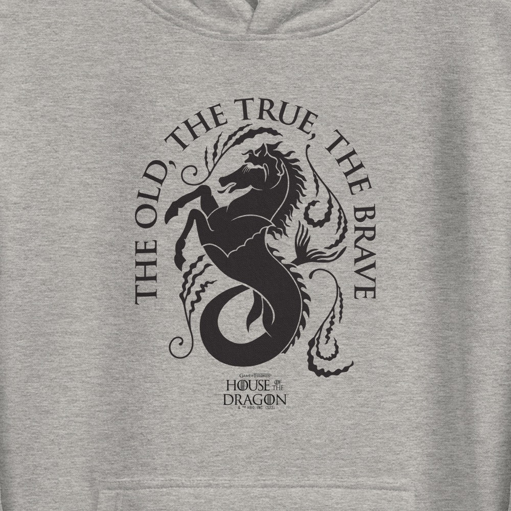 House of the Dragon House Velaryon Unisex Premium Hoodie
