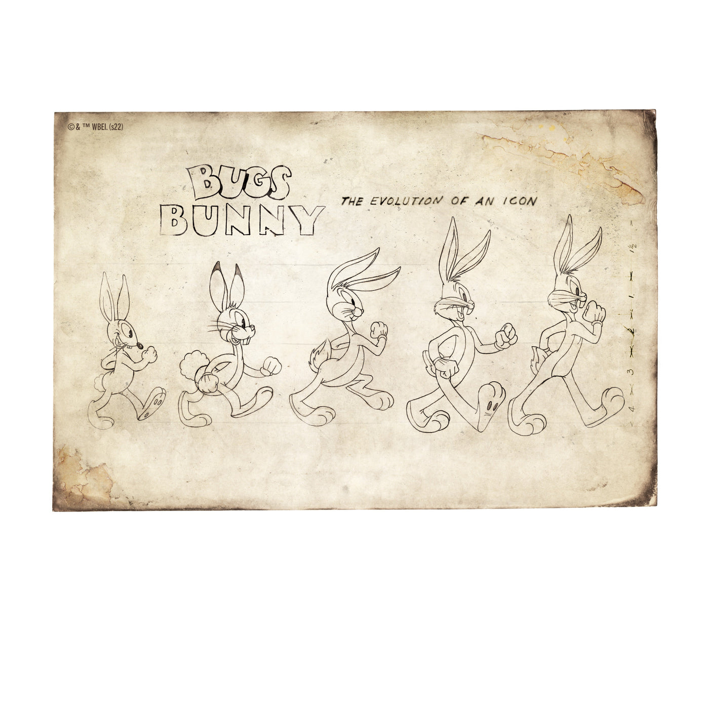 Looney Tunes Bugs Bunny Evolution Hoodie