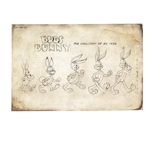 Looney Tunes Bugs Bunny Evolution Hoodie
