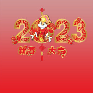 Looney Tunes Lola 2023 Spiral Notebook