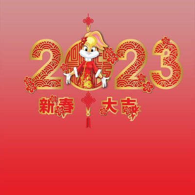 Looney Tunes Lola 2023 Spiral Notebook