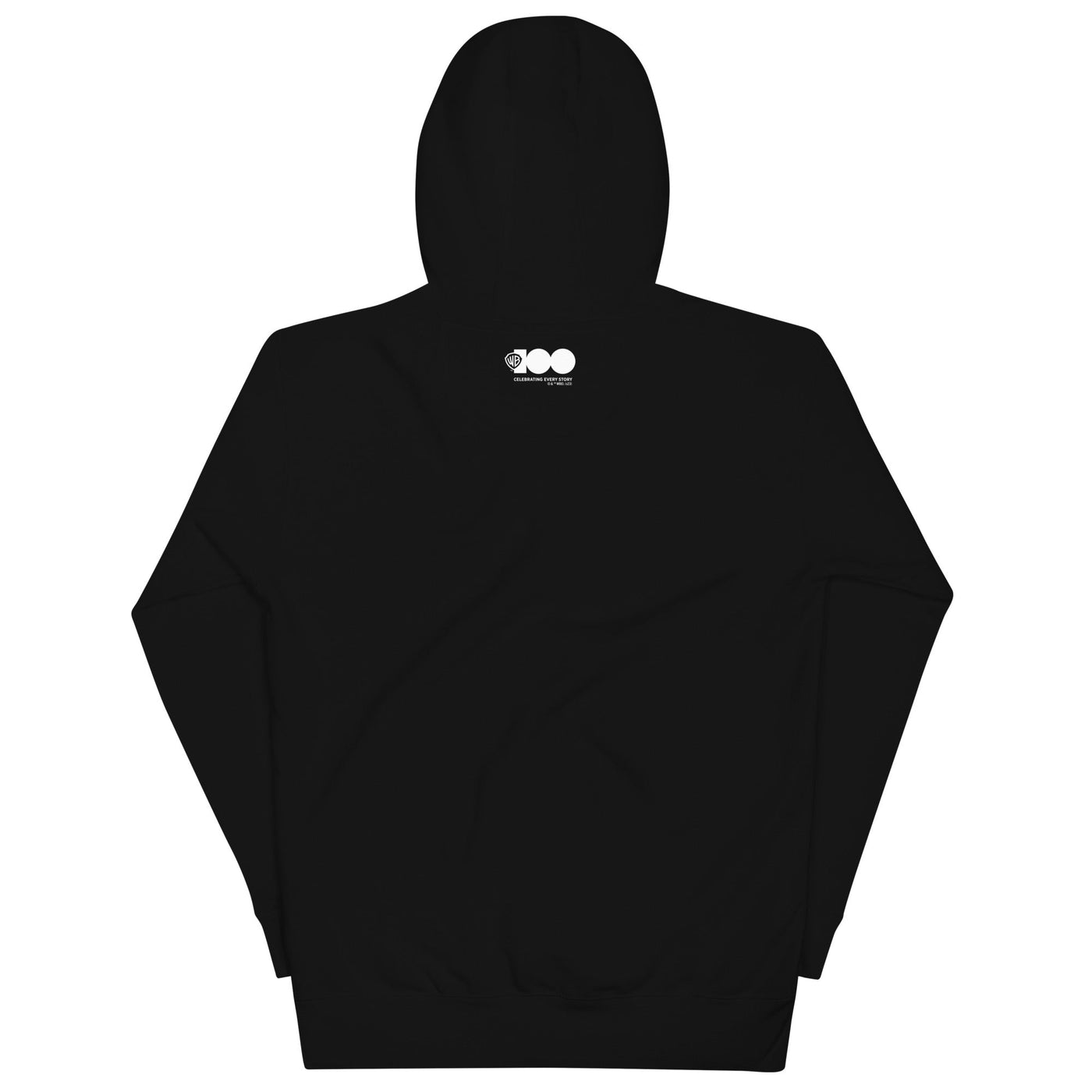 WB 100 Modern Blockbuster Era Shield Fleeced Hooded Sweatshirt