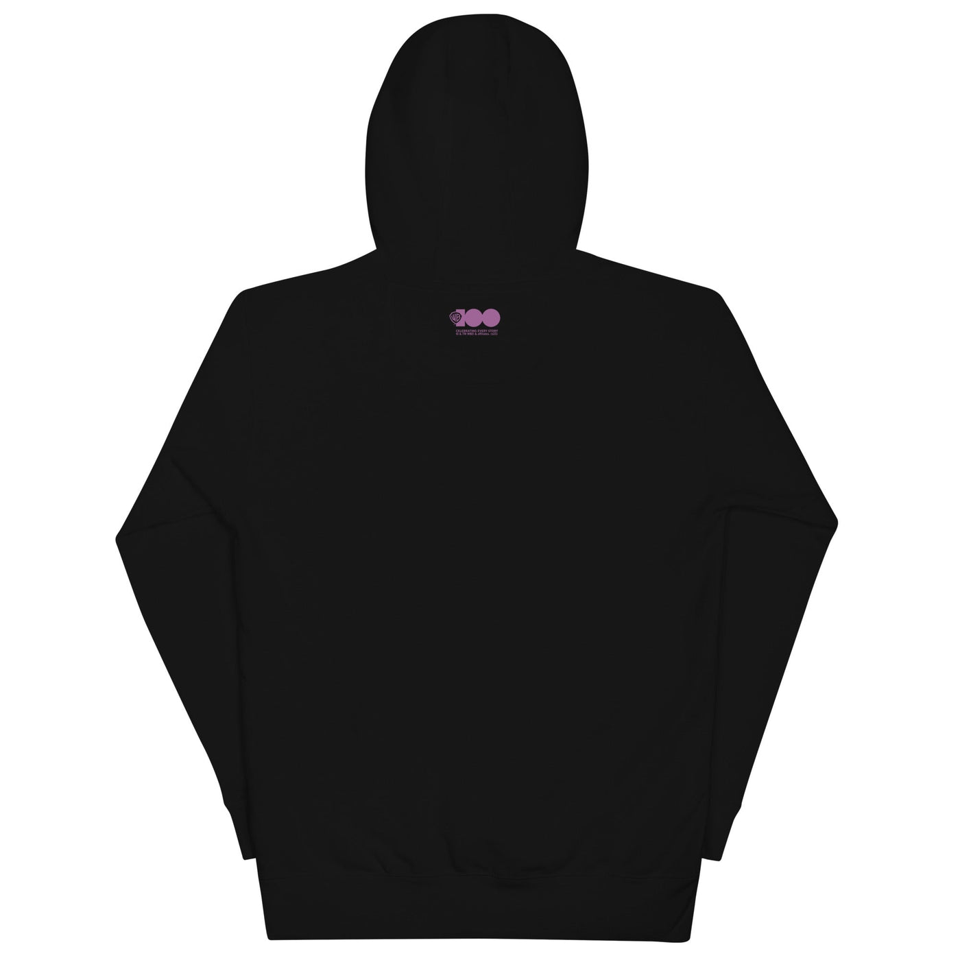 WB 100 House Party Adult Hoodie