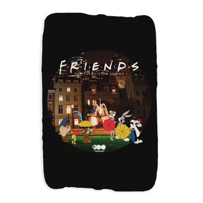 WB 100 Looney Tunes x Friends Intro Scene Sherpa Blanket
