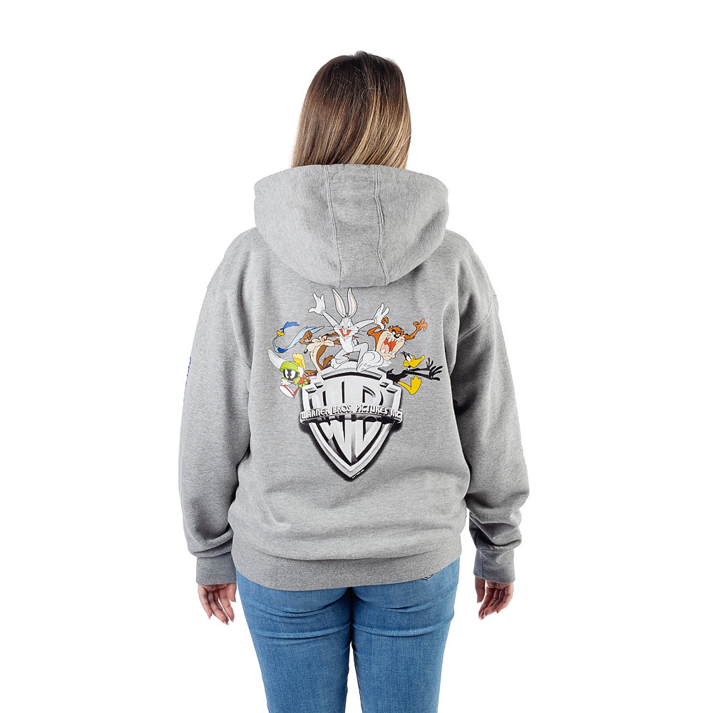 Exclusive WB 100 Celebrating Every Story Hoodie