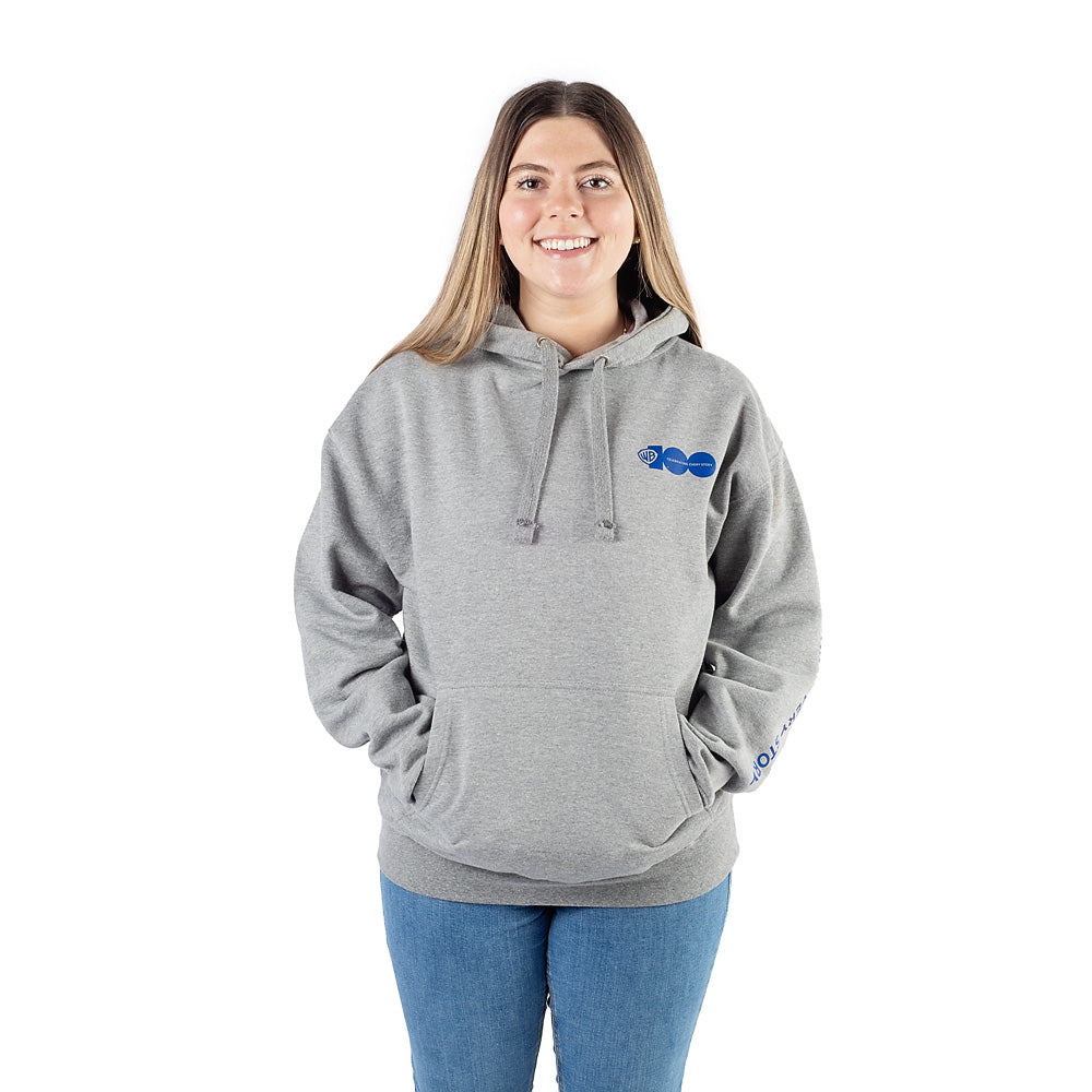 Exclusive WB 100 Celebrating Every Story Hoodie